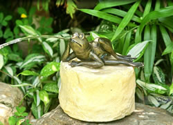 small bronze frog called diego statue fountain wholesale at Wholesale Pots