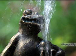 small bronze singing frog statue fountain wholesale at Wholesale Pots